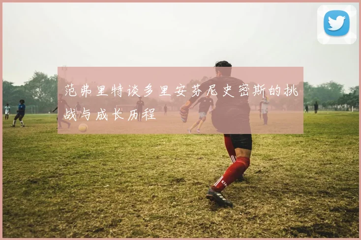 范弗里特谈多里安芬尼史密斯的挑战与成长历程